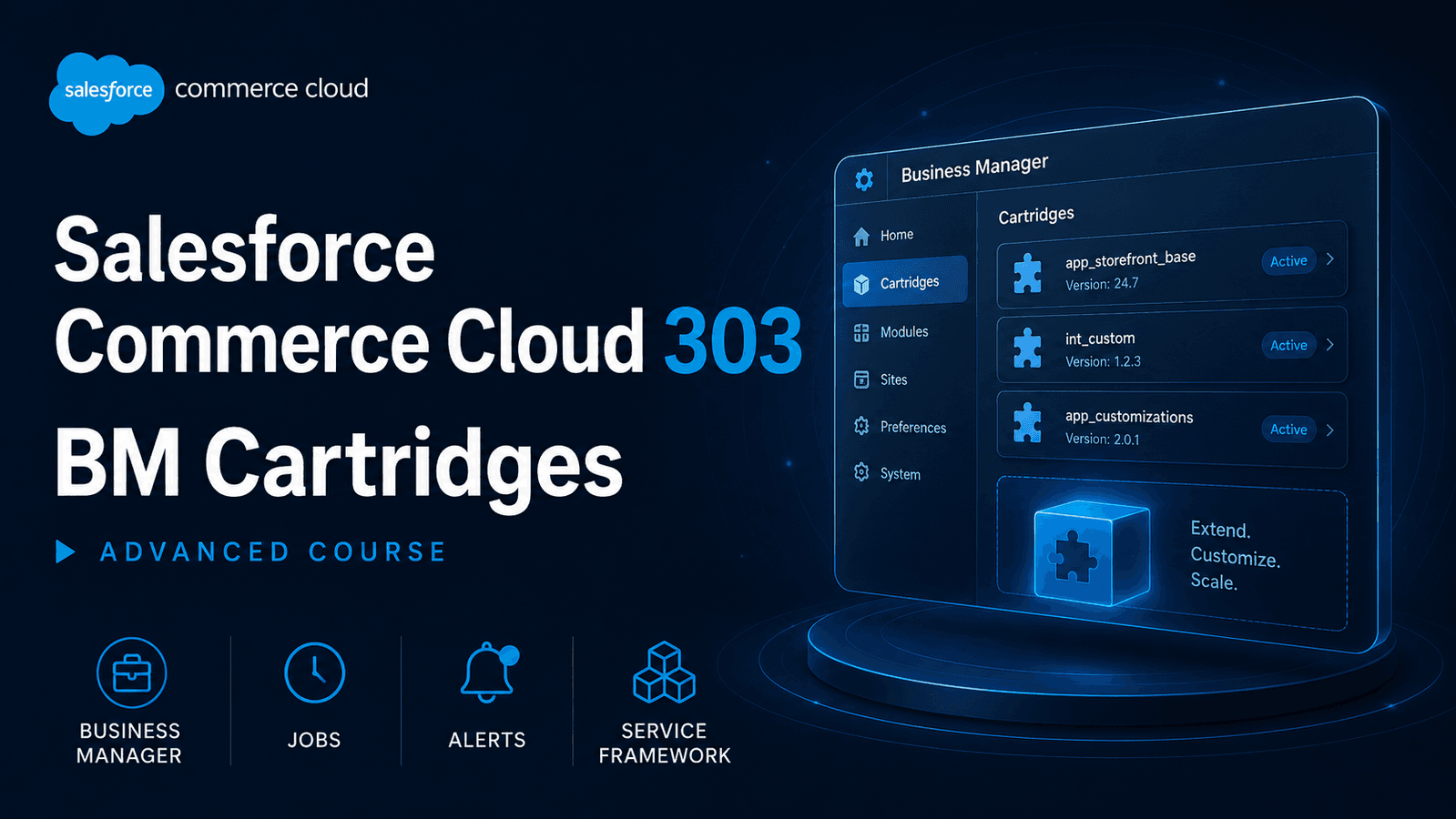 Salesforce Commerce Cloud 303 - BM Cartridges